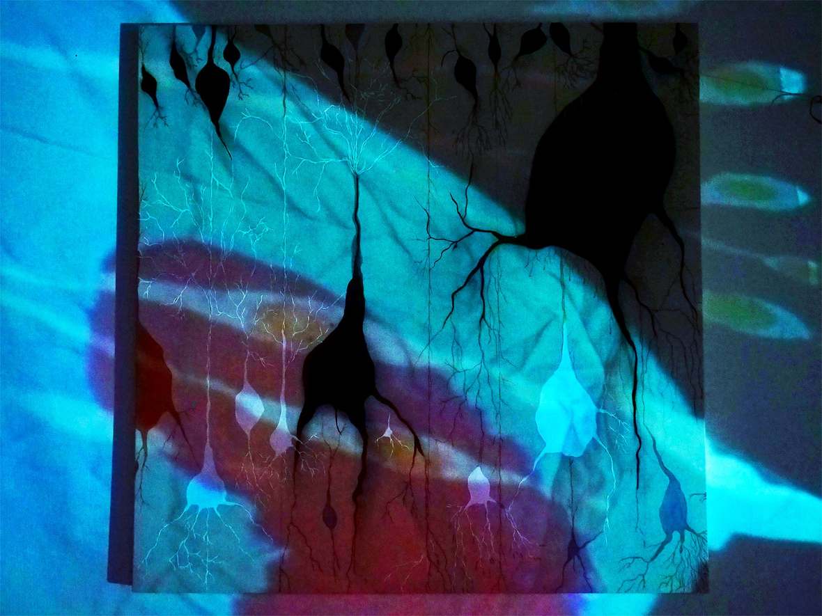 Projection detail, 2024.