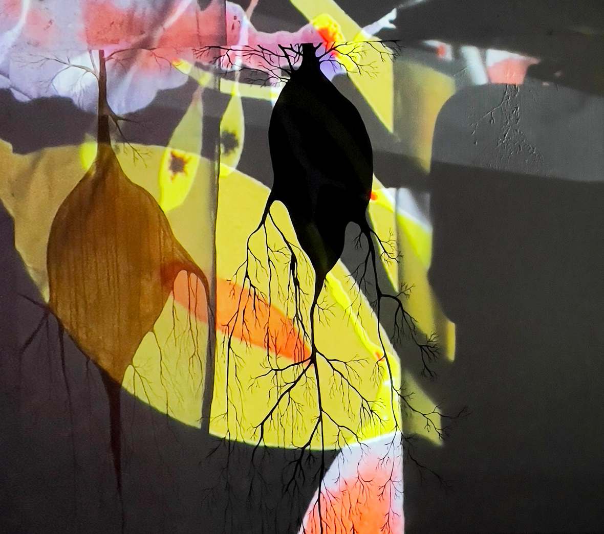 Untitled. Video projections on mixed media, 10′ × 15′, 2024.